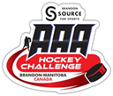 Source for Sports AAA Hockey Challenge
