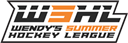 Wendy's Summer Hockey League